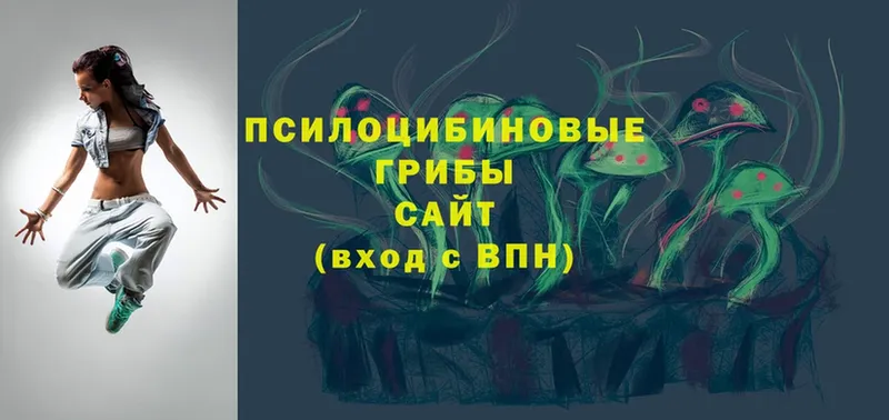 OMG как зайти  Дмитриев  Псилоцибиновые грибы Magic Shrooms  где найти наркотики 